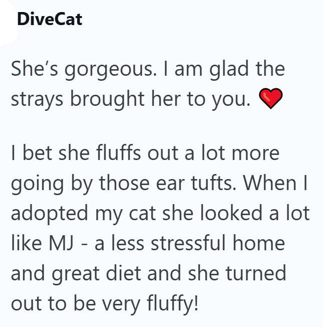 DiveCat She's gorgeous. I am glad the strays brought her to you. I bet she fluffs out a lot more going by those ear tufts. When I adopted my cat she looked a lot like MJ - a less stressful home and great diet and she turned out to be very fluffy!