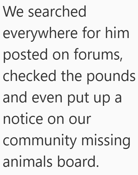 We searched everywhere for him posted on forums, checked the pounds and even put up a notice on our community missing animals board.