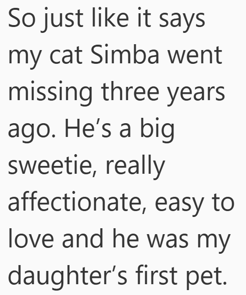 So just like it says my cat Simba went missing three years ago. He's a big sweetie, really affectionate, easy to love and he was my daughter's first pet.
