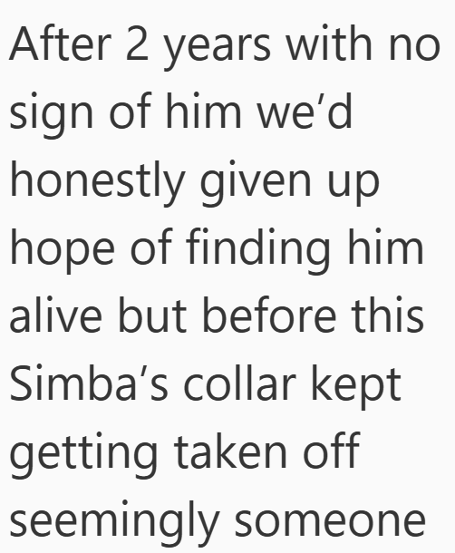 After 2 years with no sign of him we'd honestly given up hope of finding him alive but before this Simba's collar kept getting taken off seemingly someone