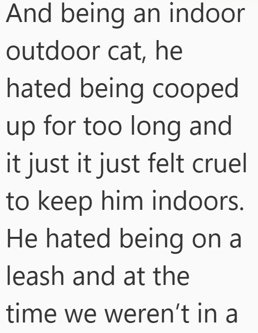 And being an indoor outdoor cat, he hated being cooped up for too long and it just it just felt cruel to keep him indoors. He hated being on a leash and at the time we weren't in a