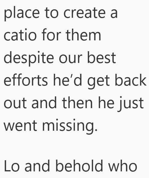 place to create a catio for them despite our best efforts he'd get back out and then he just went missing. Lo and behold who