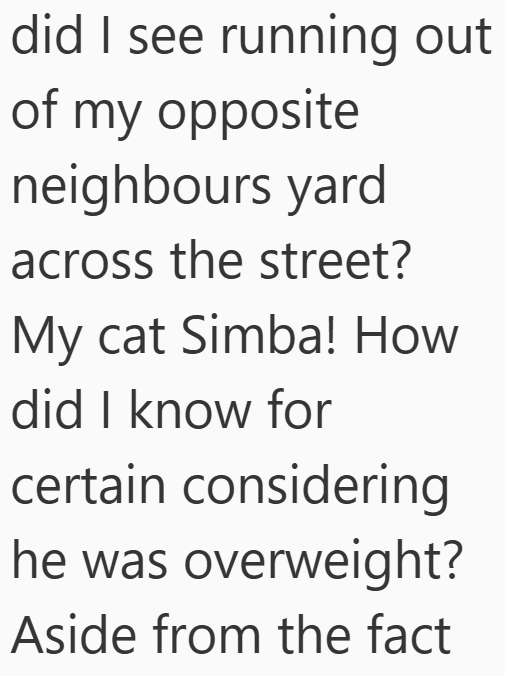 did I see running out of my opposite neighbours yard across the street? My cat Simba! How did I know for certain considering he was overweight? Aside from the fact