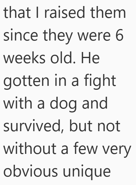 that I raised them since they were 6 weeks old. He gotten in a fight with a dog and survived, but not without a few very obvious unique