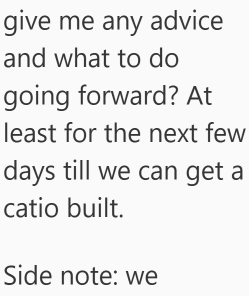 give me any advice and what to do going forward? At least for the next few days till we can get a catio built. Side note: we