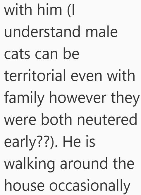 with him (I understand male cats can be territorial even with family however they were both neutered early??). He is walking around the house occasionally