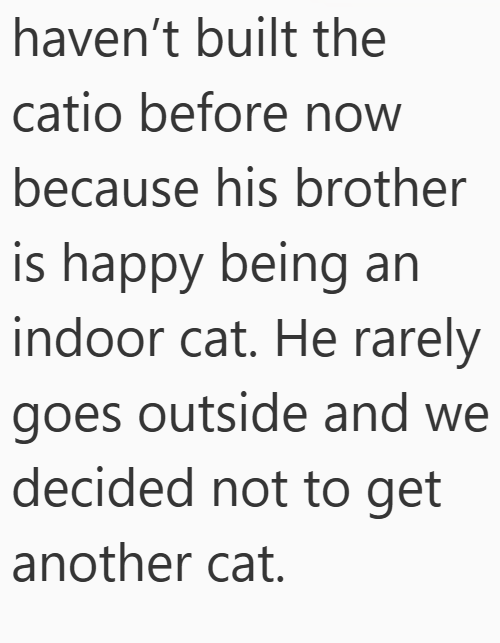haven't built the catio before now because his brother is happy being an indoor cat. He rarely goes outside and we decided not to get another cat.