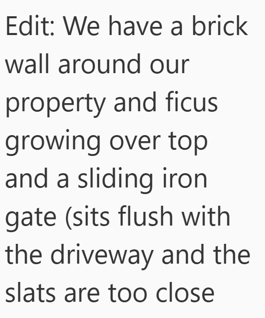 Edit: We have a brick wall around our property and ficus growing over top and a sliding iron gate (sits flush with the driveway and the slats are too close