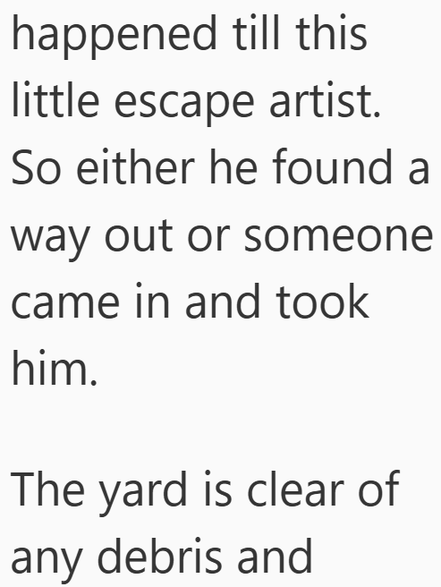happened till this little escape artist. So either he found a way out or someone came in and took him. The yard is clear of any debris and
