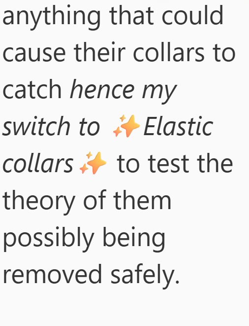 anything that could cause their collars to catch hence my switch to Elastic collars to test the theory of them possibly being removed safely.