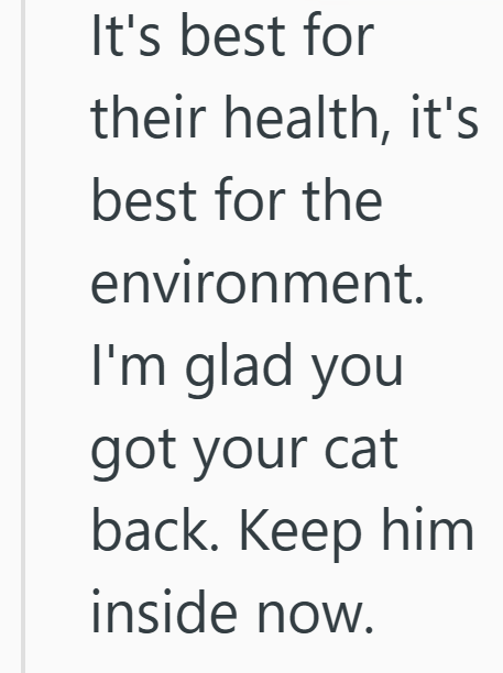 It's best for their health, it's best for the environment. I'm glad you got your cat back. Keep him inside now.