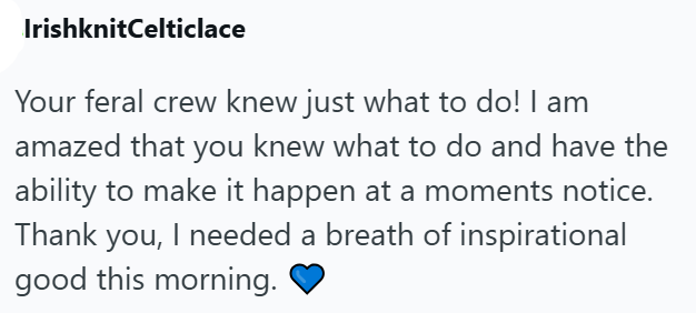 IrishknitCelticlace Your feral crew knew just what to do! I am amazed that you knew what to do and have the ability to make it happen at a moments notice. Thank you, I needed a breath of inspirational good this morning.