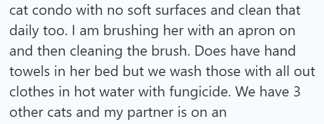 cat condo with no soft surfaces and clean that daily too. I am brushing her with an apron on and then cleaning the brush. Does have hand towels in her bed but we wash those with all out clothes in hot water with fungicide. We have 3 other cats and my partner is on an