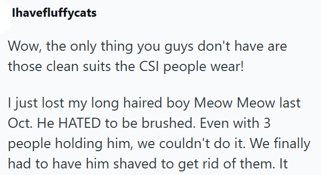 Ihavefluffycats Wow, the only thing you guys don't have are those clean suits the CSI people wear! I just lost my long haired boy Meow Meow last Oct. He HATED to be brushed. Even with 3 people holding him, we couldn't do it. We finally had to have him shaved to get rid of them. It