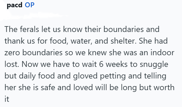 pacd OP The ferals let us know their boundaries and thank us for food, water, and shelter. She had zero boundaries so we knew she was an indoor lost. Now we have to wait 6 weeks to snuggle but daily food and gloved petting and telling her she is safe and loved will be long but worth it