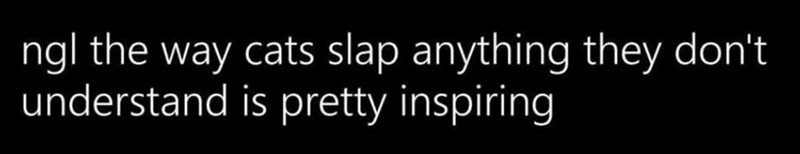 ngl the way cats slap anything they don't understand is pretty inspiring