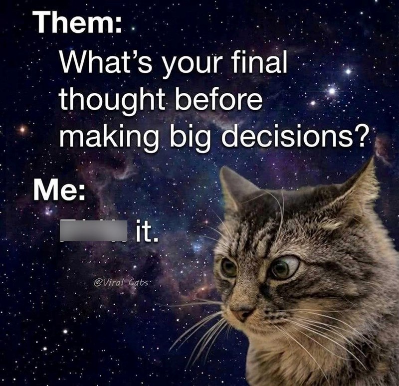 Them: What's your final thought before making big decisions? Me: it. @Viral Cats