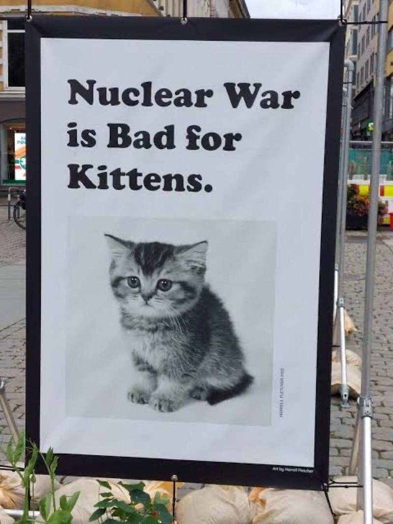 Nuclear War is Bad for Kittens. мости Art by Harrell Fletcher