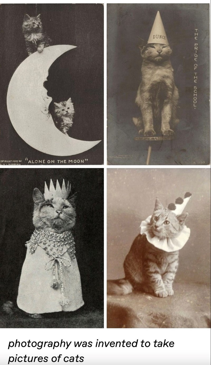 OPYRIGHT 1907 BY ALONE ON THE MOON" BOBBINS DUNCE THE QR-OW OF FIW SCHOOL. 6 1197 photography was invented to take pictures of cats