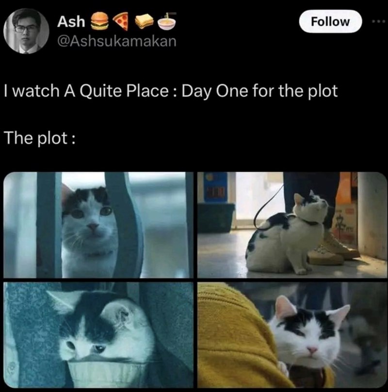 Ash @Ashsukamakan Follow I watch A Quite Place: Day One for the plot The plot : 110
