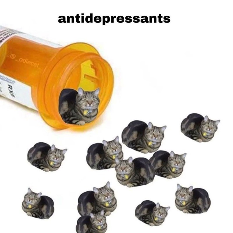 antidepressants @_odiecat RX