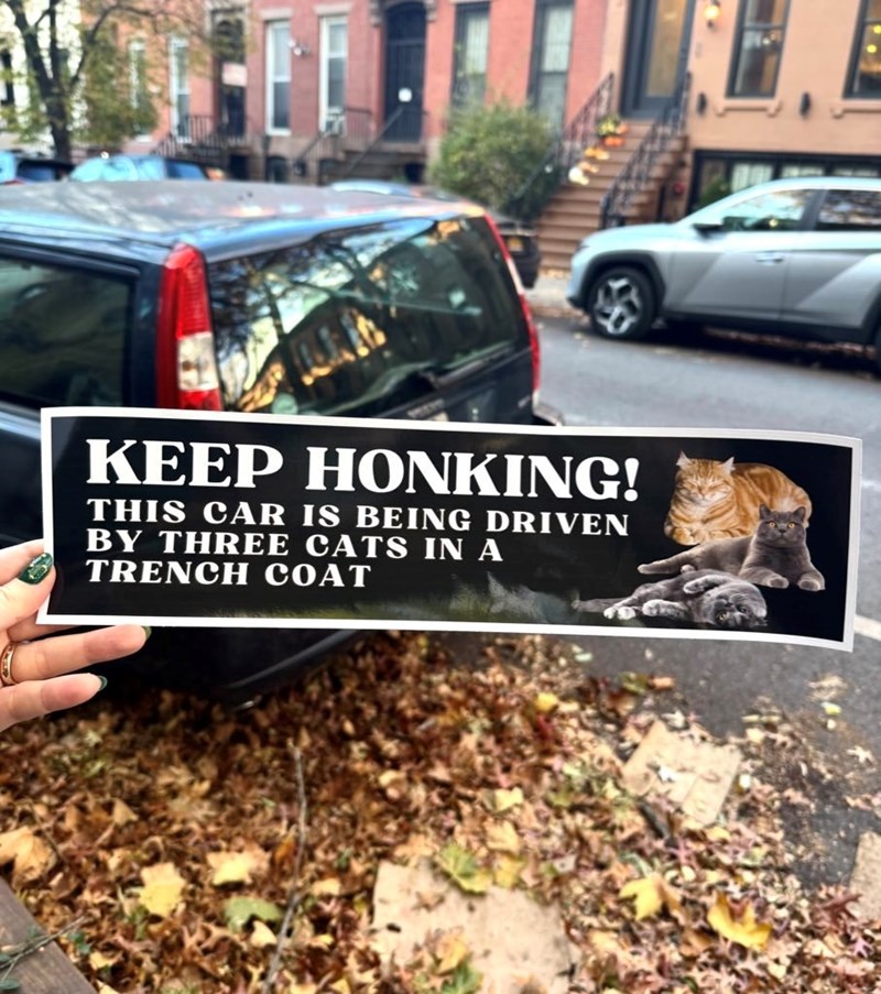 KEEP HONKING! THIS CAR IS BEING DRIVEN BY THREE CATS IN A TRENCH COAT