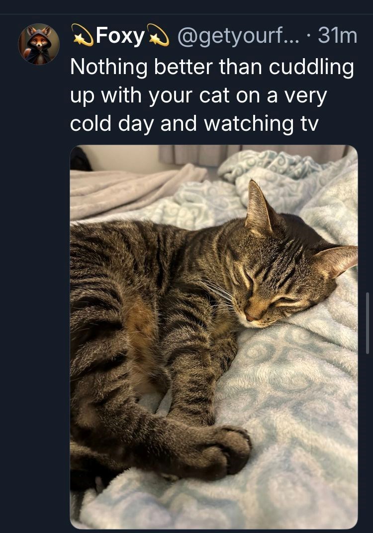 Foxy@getyourf.... 31m Nothing better than cuddling up with your cat on a very cold day and watching tv