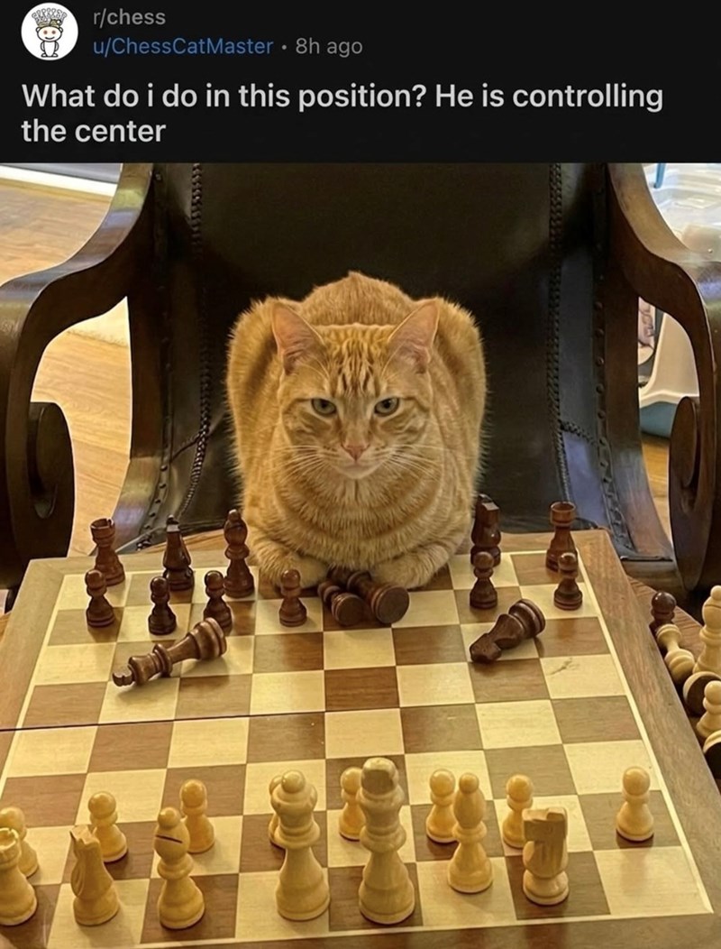 r/chess u/ChessCatMaster • 8h ago What do i do in this position? He is controlling the center