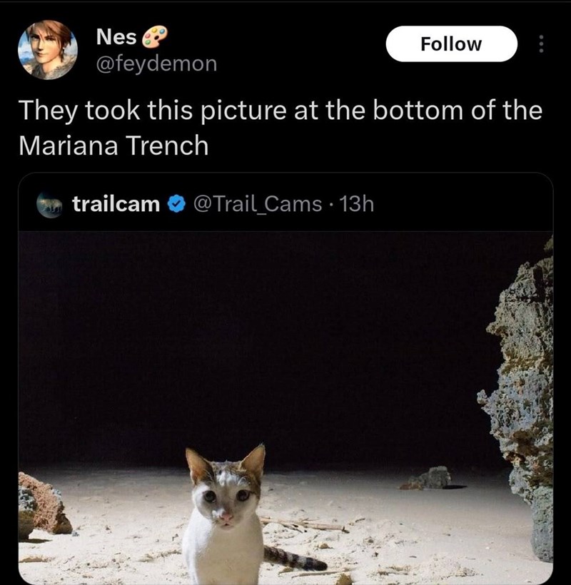 Nes & @feydemon Follow They took this picture at the bottom of the Mariana Trench trailcam @Trail Cams 13h @Trail_Cams •