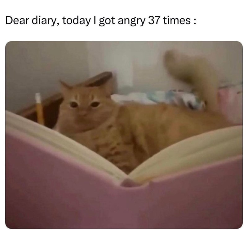 Dear diary, today I got angry 37 times :
