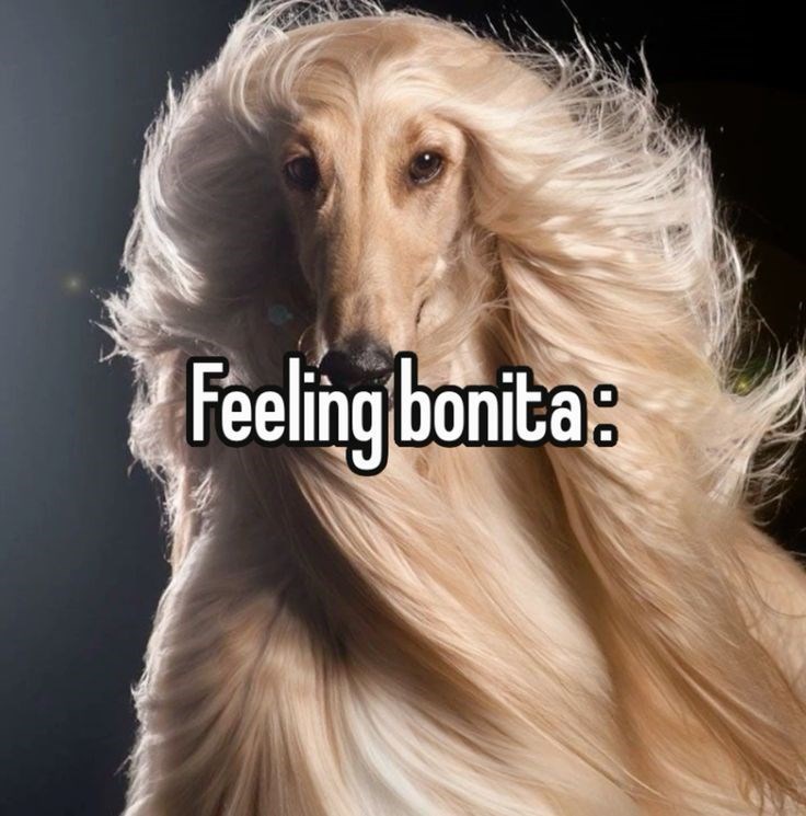 Feeling bonita: