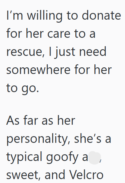 I'm willing to donate for her care to a rescue, I just need somewhere for her to go. As far as her personality, she's a typical goofy al sweet, and Velcro