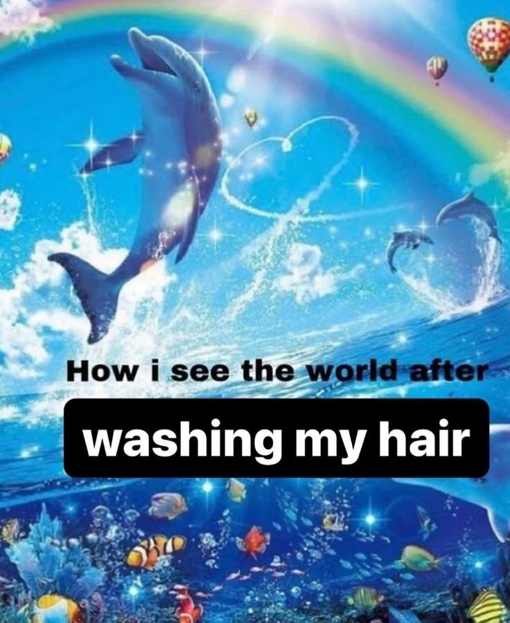 How i see the world after washing my hair