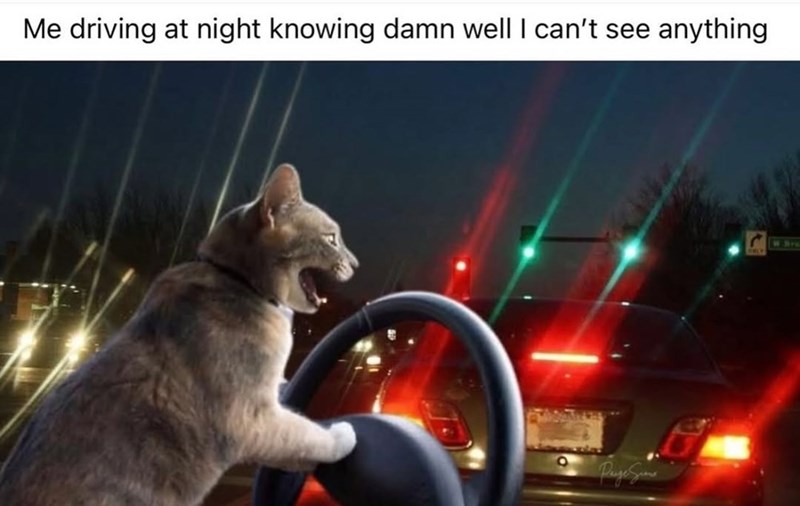 Me driving at night knowing damn well I can't see anything Page Sin