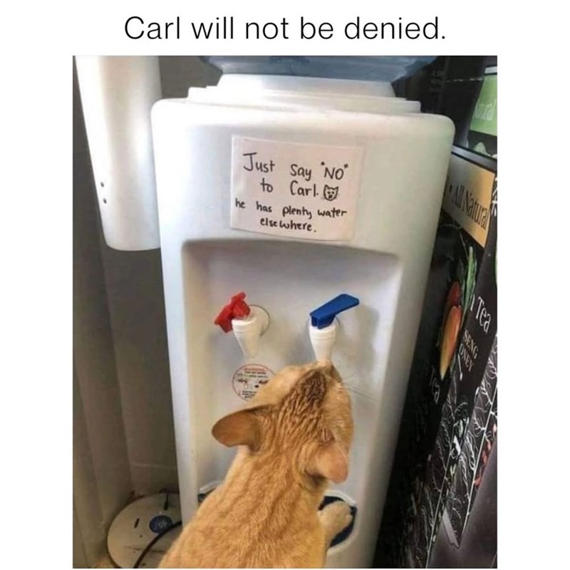 Carl will not be denied. Just Say No to Carl he has plenty water else where. All Natural Tea SENG NE