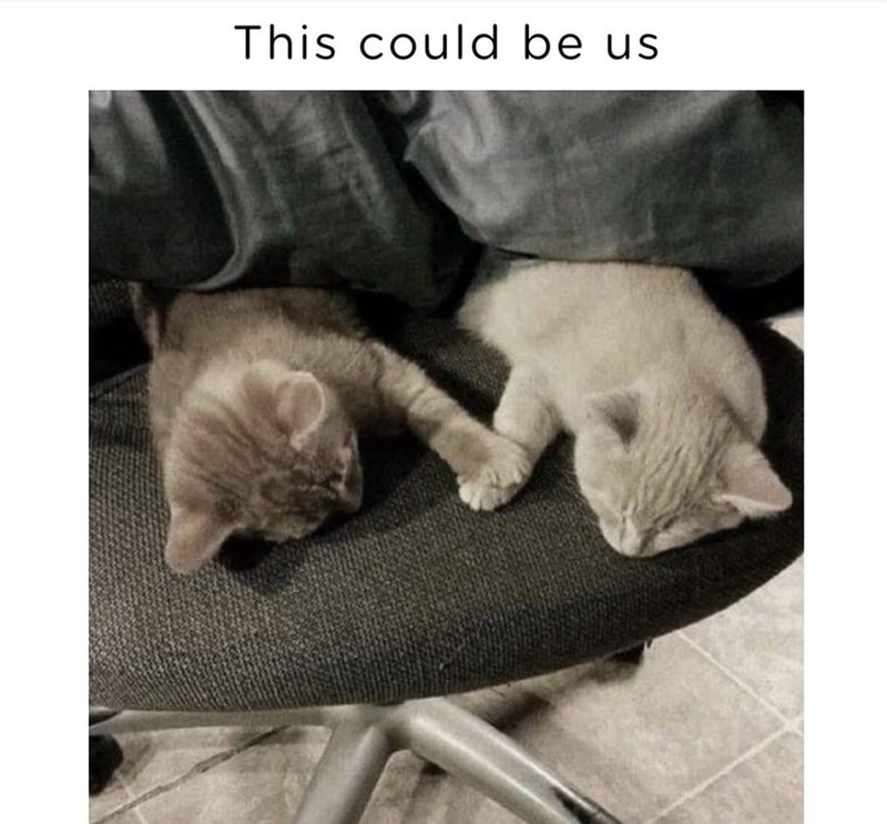 This could be us