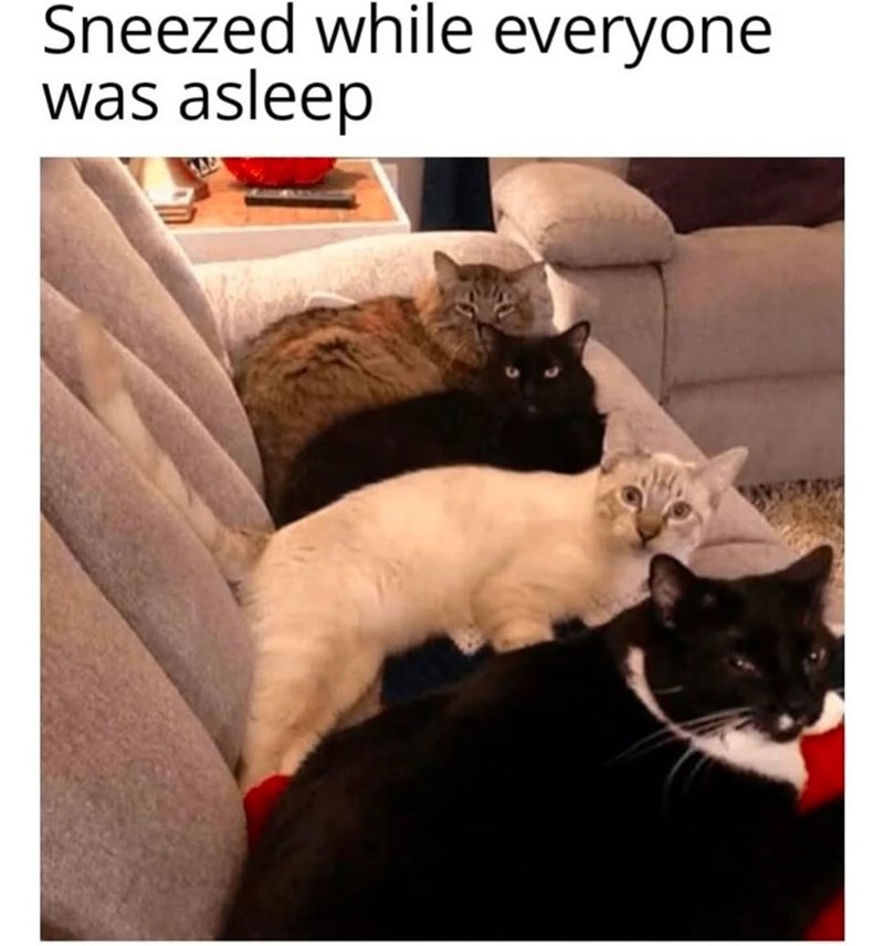 Sneezed while everyone was asleep