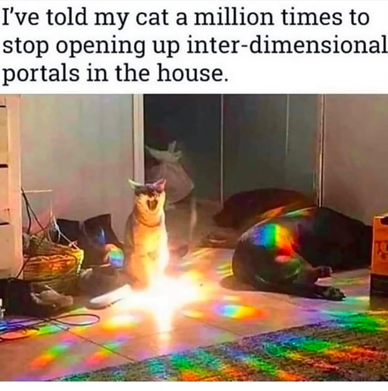 I've told my cat a million times to stop opening up inter-dimensional portals in the house.