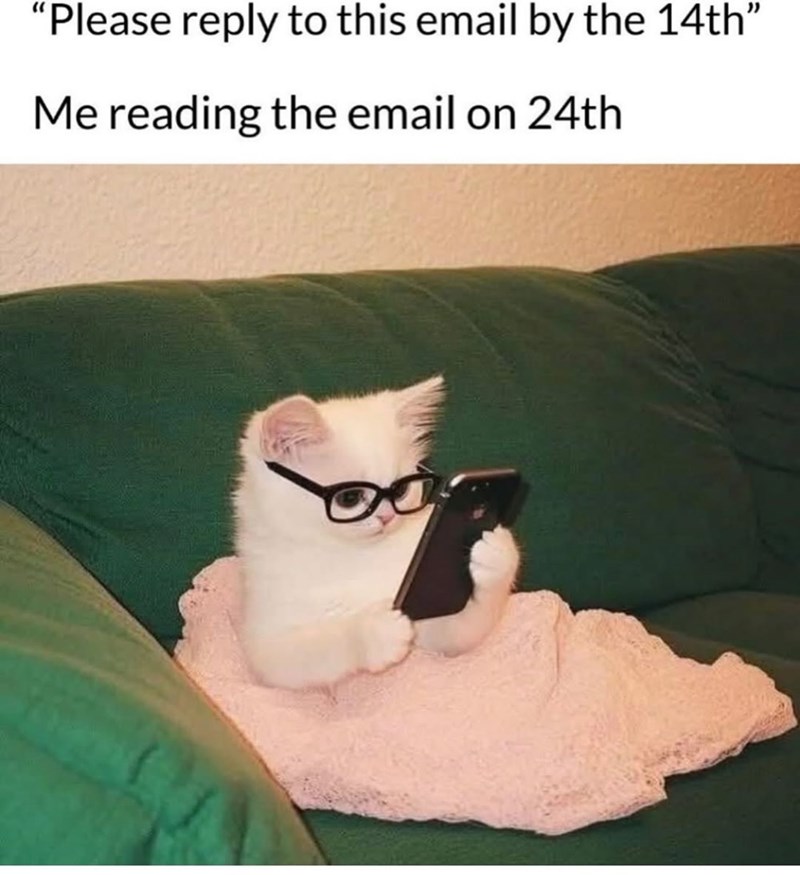 "Please reply to this email by the 14th" Me reading the email on 24th