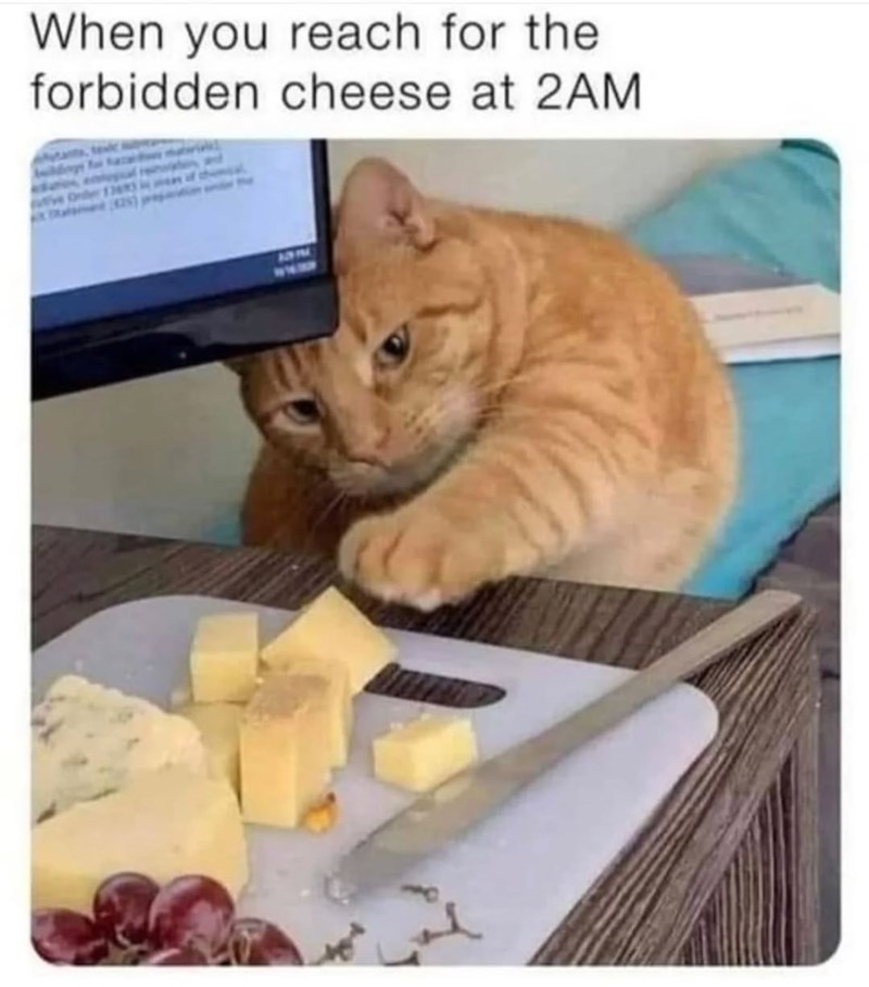 When you reach for the forbidden cheese at 2AM
