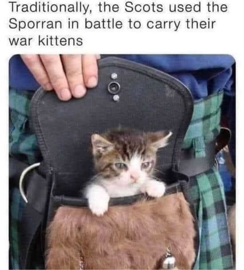 Traditionally, the Scots used the Sporran in battle to carry their war kittens