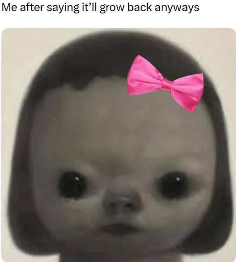 Me after saying it'll grow back anyways