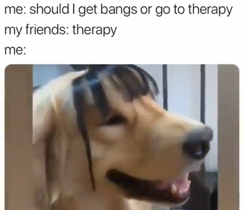 me: should I get bangs or go to therapy my friends: therapy me: