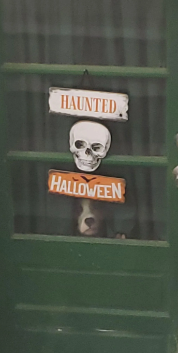 HAUNTED HALLOWEEN