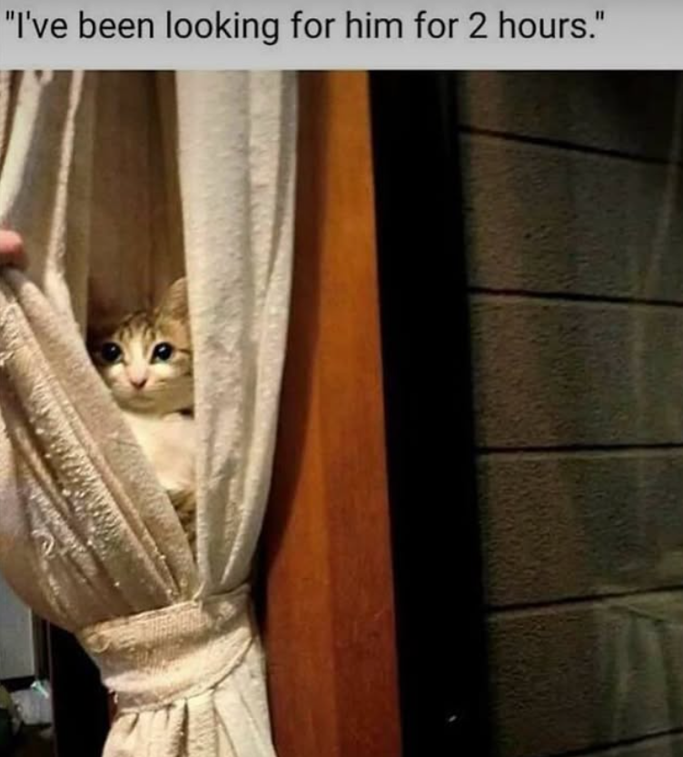 "I've been looking for him for 2 hours."