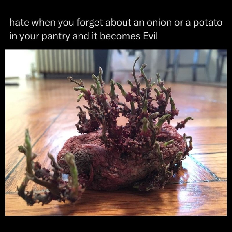hate when you forget about an onion or a potato in your pantry and it becomes Evil