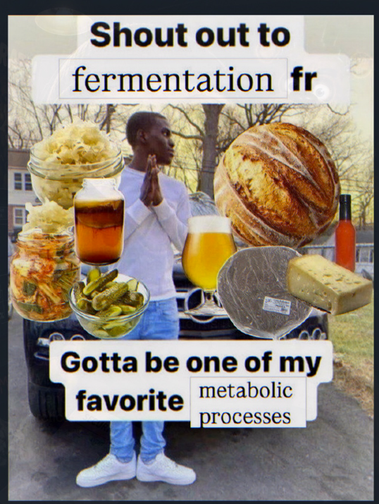 Shout out to fermentation fr Gotta be one of my favorite metabolic processes