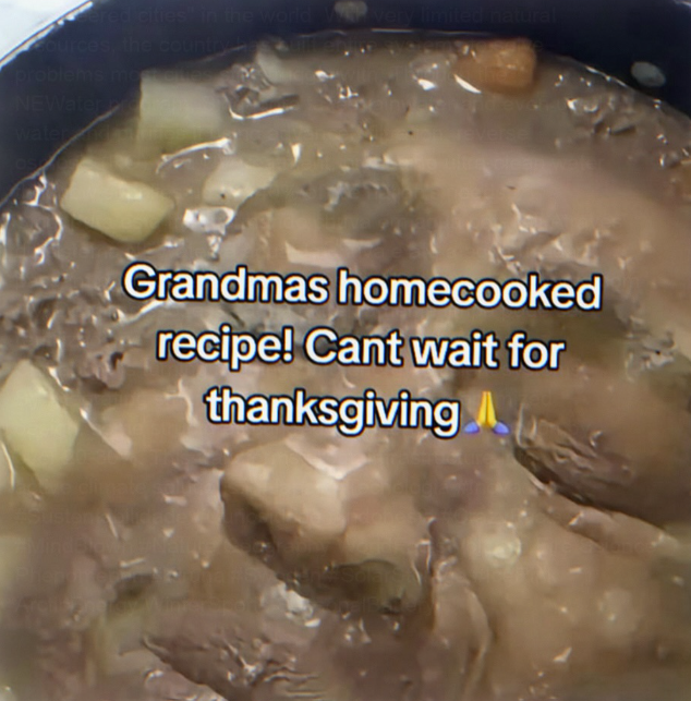 cred cities" in the world very limited natural ources, the countr problems most ci NEWater water a Grandmas homecooked recipe! Cant wait for thanksgiving
