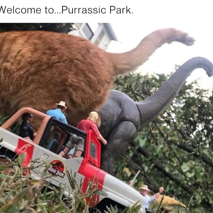 Welcome to... Purrassic Park. RASSIC PARK