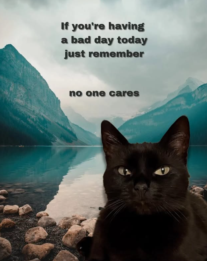 If you're having a bad day today just remember no one cares